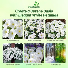 Outsidepride White Multiflora Petunia Seeds - 500 Pcs. Annual, Compact, Flower Seeds for Planting, Vibrant Blooms, Ideal for Garden Beds, Hanging Baskets & Container Displays