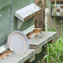 BESPORTBLE 4pcs Bee Entrance Feeders Perforated Metal Mason Jar Lids Beehive Waterer Honey Bee Canning Feeder Beekeeping Supplies