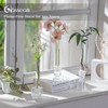 Glasseam 3 Pcs Glass Bud vase for Taper Candle Holder,