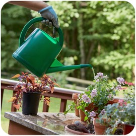 Consolidated Plastics Durable Swiss Watering Can with UV Protection, Ergonomic Handle for Indoor/Outdoor Gardening, Made in Switzerland (4 Liter, Green)
