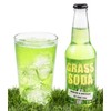 Grass Soda Pop, Weird and Surprising Soda