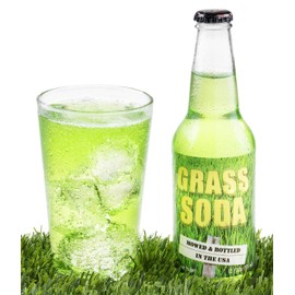 Grass Soda Pop, Weird and Surprising Soda