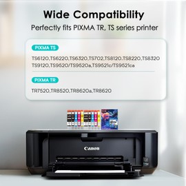 Eco Victor 10 Pack 280 281 Ink Cartridge Replacement for PGI 280XXL CLI 281XXL PGBK Black Ink Cartridges for TR8620a TR8620 TR8520 TR7520 TS6120 TS6220 TS9120 TS6320 TS8220 TS9520 TS9521C Printer