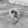 OTOTEC 4-Piece Microphone Pop Filter, Wireless Microphone Covers, Furry Wind