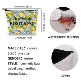 Positano Lemon Cosmetic Makeup Bag Positano Travel Present Meet Me in Positano Italian Amalfi Coast Souvenirs Travel Bag (Positano Makeup Bag 1uk)