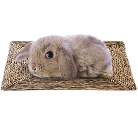 SunGrow Seagrass Bunny Mat, Protect Paws from Wire Cage, Treat Bunny’s Sore Hocks, Handmade Woven Play Bed, Edible Chew Toy, Place in Cage or on Floor, 1 pc