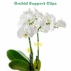M METERXITY 100-Pack Orchid Clips, Plastic Garden Plant Clips, Dragonfly