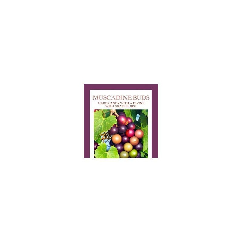 Butterfields Grape Muscadine Merlot Buds Hard Candy 3 Oz. (Pack