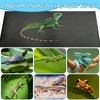 EYUNSTAR Bearded Dragon Tank Accessories, 3 Pcs Reptile Carpet Liners