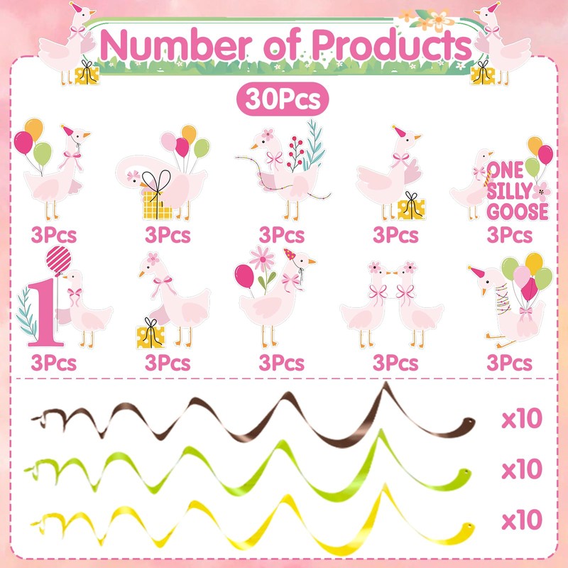 Aposwow One Sily Goose Birthday Decor Girls, 30PCS One Goose
