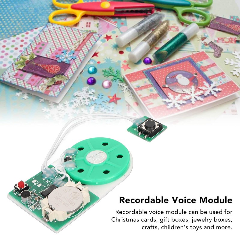 Writeable Sound Chip, Sound Voice Recording Playback Module with Double-Sided