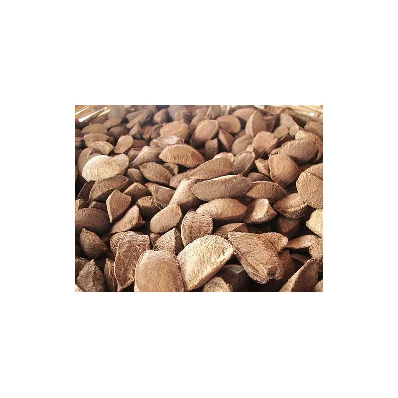 Treasured Harvest In Shell Brazil Nuts - 5 lb. -