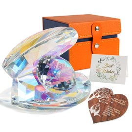 pkinmonut Crystal Shell 20th Wedding Anniversary Romantic Gifts for Couple China Anniversary presents 20 Years Marriage Keepsake with Wooden Heart Plaque and Card