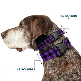 Buckle-Down PC-W30240-M Dog Collar Plastic Clip Buckle, Buffalo Plaid Black/Purple, 1" x 11-17"