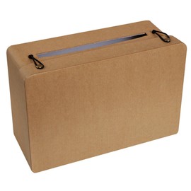 Money Box Suitcase Kraft
