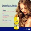 Terramar KOCHCHEMIE Duo maravilloso de Oleo Jumbo terramar y oleo
