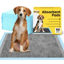 Dog Pee Pads: Super Absorbent & Leak-Proof Puppy Pads - Charcoal Thicken Disposable Dog Training Pads Potty Pads for Dogs - Pee Pads for Doggie Cats Rabbits Quick Dry 35''x24'' Pack of 20