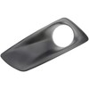 Dorman 242-6119 Front Passenger Side Fog Light Bezel for Select