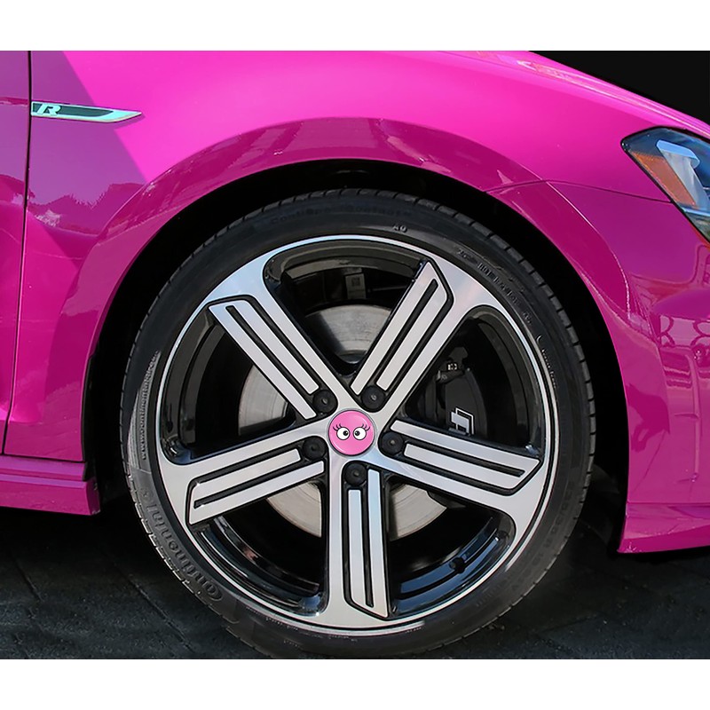 SkinoEu 4 x 65mm Wheel Centre Alloy Hub Center Caps