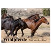 Wildpferde. Frei wie der Wind (Wandkalender 2026 DIN A4 quer),
