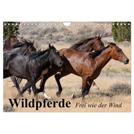 Wildpferde. Frei wie der Wind (Wandkalender 2026 DIN A4 quer), CALVENDO Monatskalender