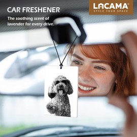 Lacama Retro Poodle Golden Retriever Dachshund Car Air Freshener 3Pcs, Funny Poodle Goldie Weiner Dog Cars Scents Air Freshener for Women Girls Gifts, Dog Car Accessories Interior Mirror Decor Hanging