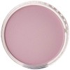 PanPastel 24308 Ultra Soft Artist Pastel, Magenta Tint, 430.8 (Pack
