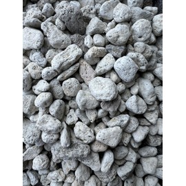 Cali-Bon Japanese Extra Large Keiseki Pumice for Cactus & Succulent, Orchid and Yamadori Bonsai Soil Mix - 1/2" to 1" (2 Gallon)