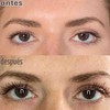 Daislashes Magical Premium Brow y Eyelash Growth Serum, Lash Enhancer