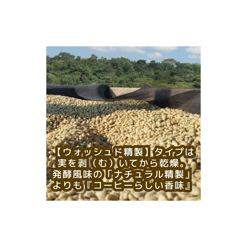 Coffee Raw Beans Mocha Irgachev Washed Galaxy Coffee (8.8 oz