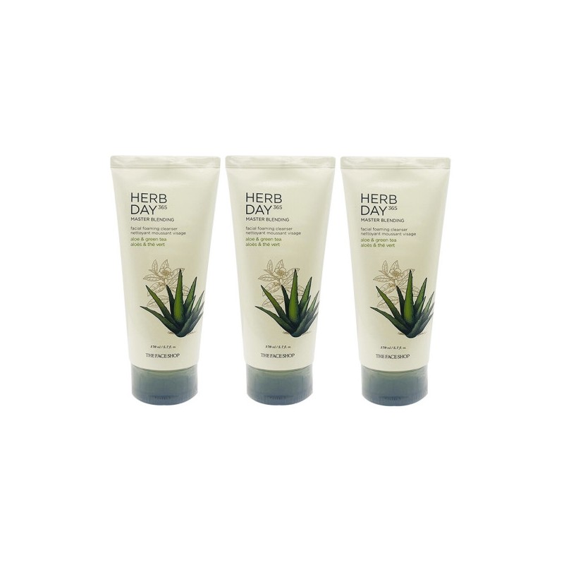 The Face Shop Herb Day Facial Cleansing Foam Aloe 170ml