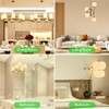 BUBO G9 LED Bulb 2700K Soft White 430 Lumens, 3W