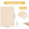 PandaHall Plywood Panels, 20 x 2 mm Basswood Blank Board,