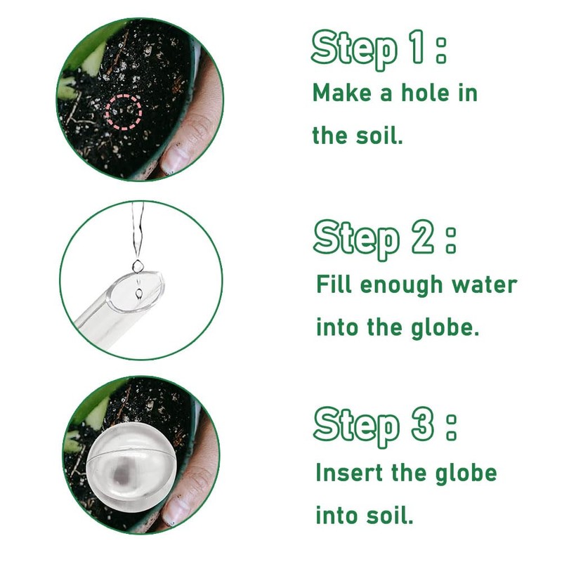 Maven Gifts Plant Watering Globes 4 Pack - Ø 5cm