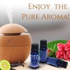 ESS Tranquility Essential Oil Blend