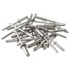 ISPINNER 100 remaches de acero inoxidable de 1/8 x 1/4
