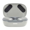 JBL Endurance Peak 3 Dust and Waterproof True Wireless Earbuds