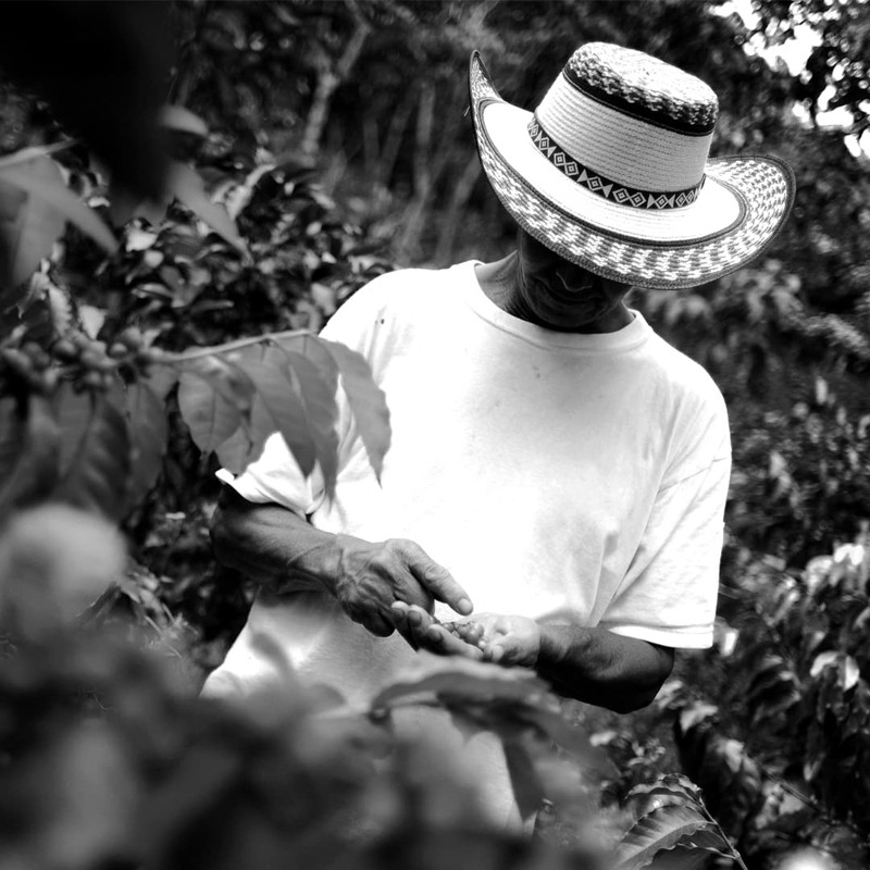 V Vescovi 100% Arabica | Premium Italian Ground Espresso |
