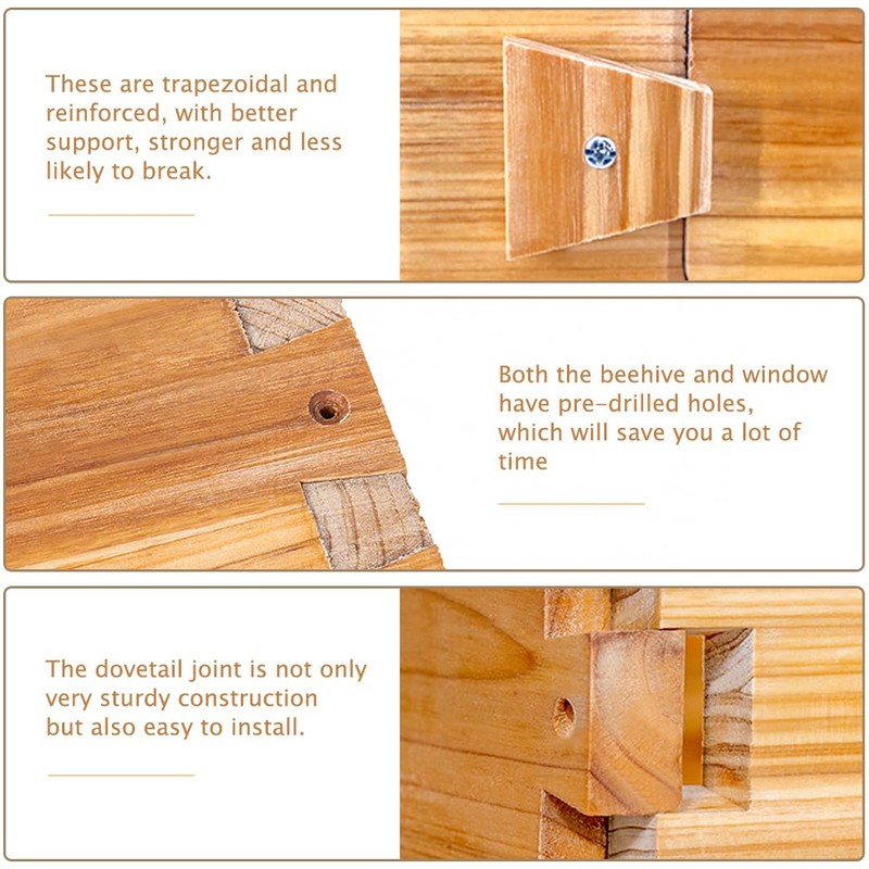 BeeCastle 8 Frame Deep Bee Hive Box, Langstroth Beehive Box