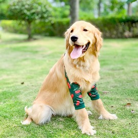Harikaji Dog Elbow Protector, Elbow Sleeves with Mesh Pad for Medium Large Dogs Prevent Licking Wound(Green Cherry,3XL)