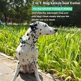 LWBMG Slip Lead Dog Leash with Double Handle,6 FT Heavy Duty Dog Training Leashes, No-Pull Reflective Nylon Slip Leash and Collar for Medium Small Dogs Mint Green