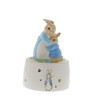 Beatrix Potter Musical, Multicoloured, one Size