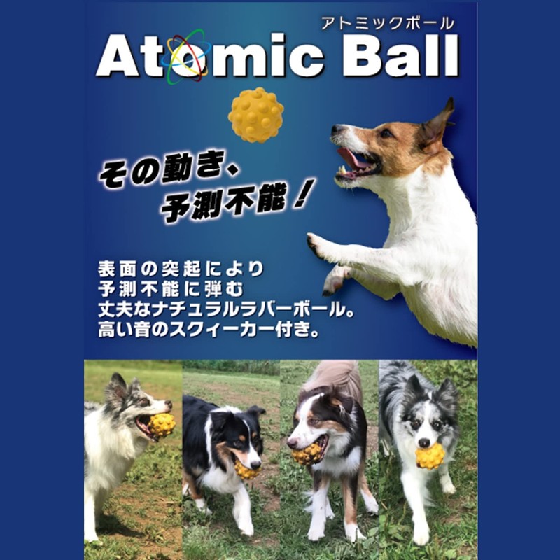 PLATZ PET SUPPLIES & FUN Dog Toy, Atomic Ball, Large,