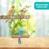 Bird Perches,4pcs Natural Wood Birds Stand Branch, Bird Perch Chewing