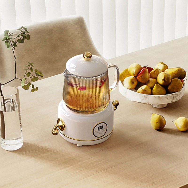 Health Pot Stainless Steel Glass Multifunctional Mini Electric Tea Maker