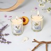 3-Pack Aromatherapy Soy Wax Candles Gift Set, Romantic Home Fragrance,