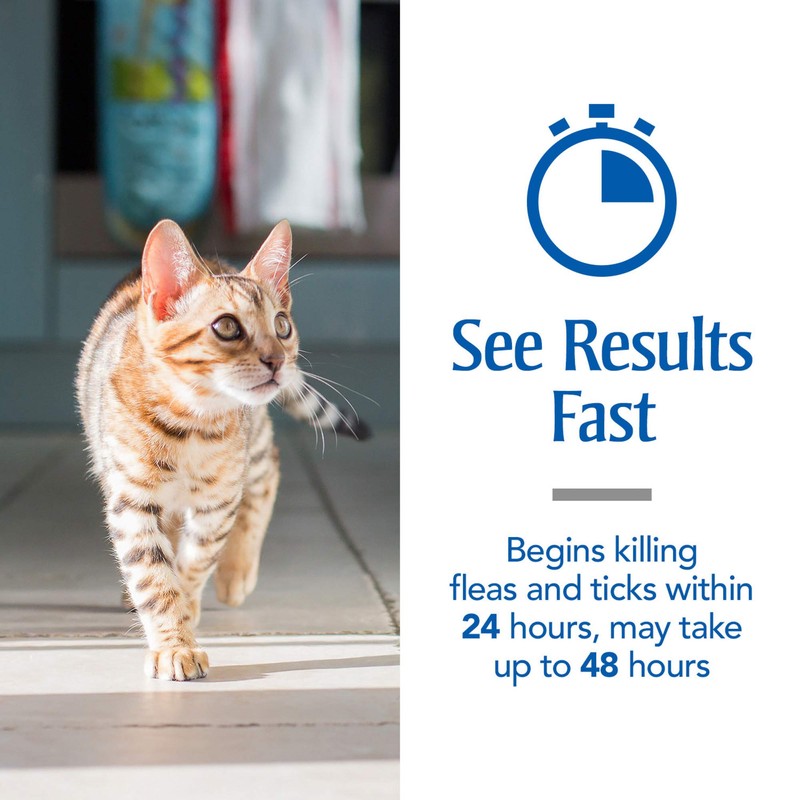 PetArmor Plus Flea & Tick Prevention for Cats with Fipronil
