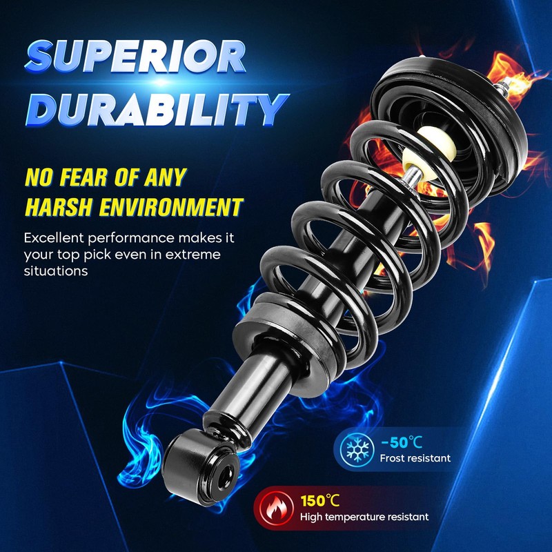 Rear Strut Shock Assembly w/Coil Spring for Ford Expedition/Lincoln Navigator