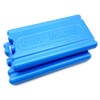 Cat Mate Replacement Ice Packs for Automatic Feeders (2 Pack,