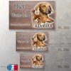 Warnschild Hund oder Warnzeichen Azawakh 20 cm
